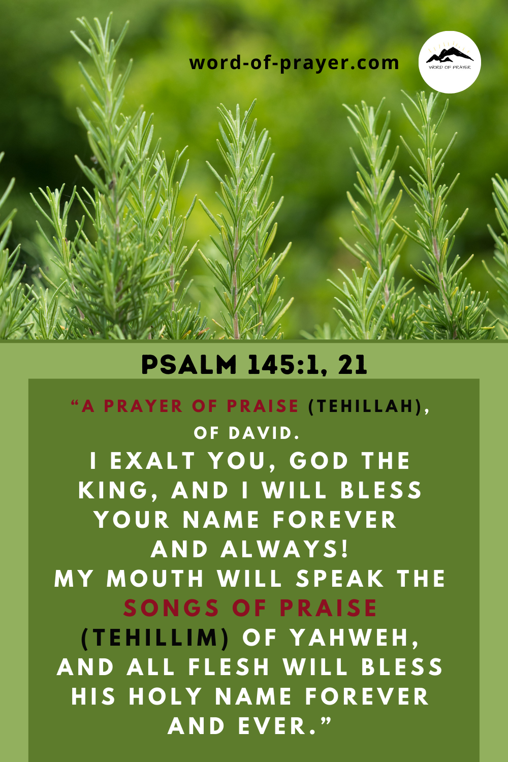 You are currently viewing Tehillah Psalm 145
