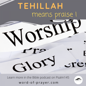 Read more about the article Tehillah means praise!
