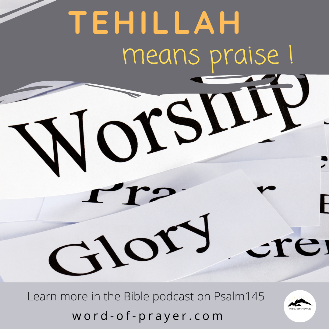 You are currently viewing Tehillah means praise!