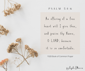 Read more about the article Prayer for pain and healing – Psalm 54:6
