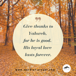 Read more about the article Give Thanks – God is good