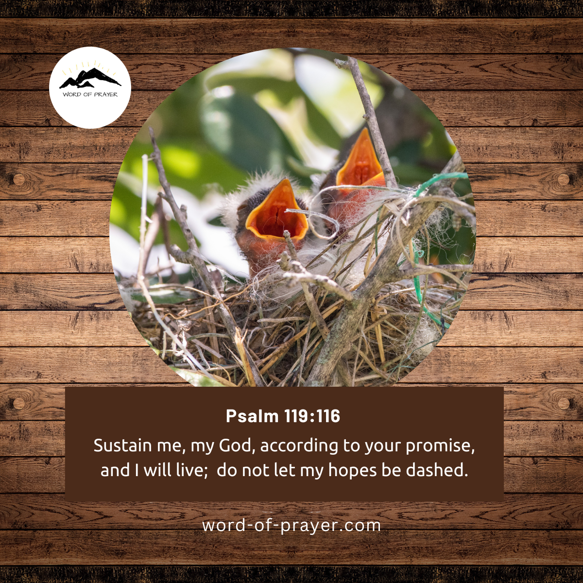 You are currently viewing Who sustains you?